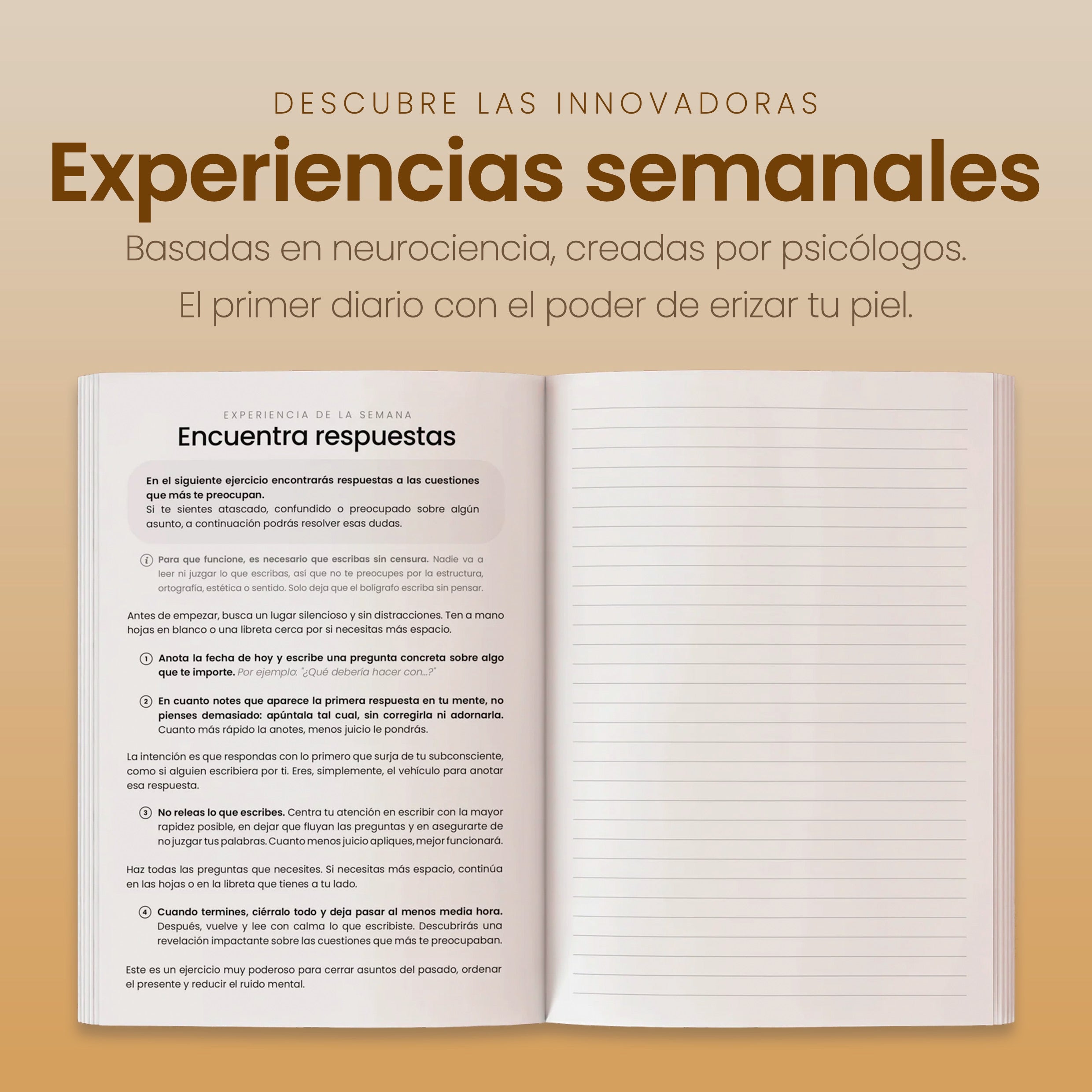 Journal Gratitude and Mental Calm NorthPlanner